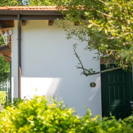 Gelsomini Sul Dorta Orta San Giulio